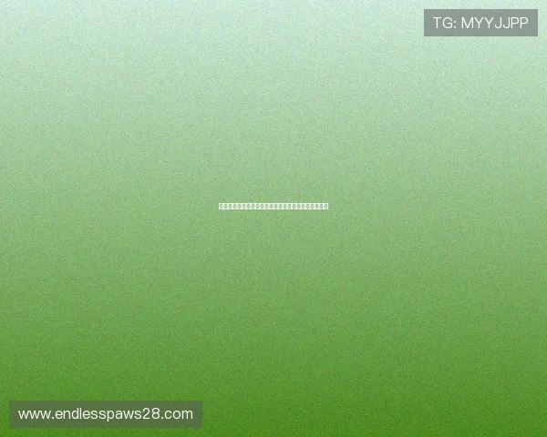 摩洛哥对阵苏格兰比赛胜率分析与世界杯赛前预测指南 摩洛哥对阵苏格兰比赛胜率分析与世界杯赛前预测指南