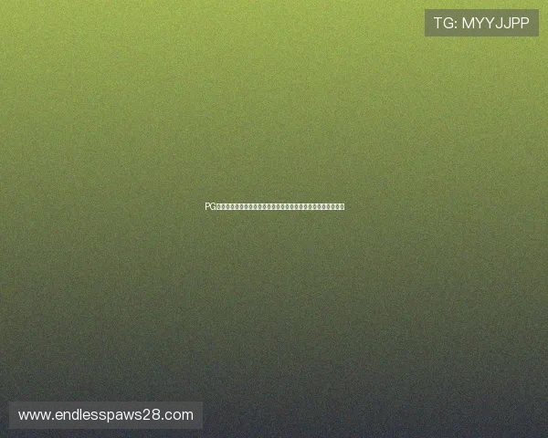 PG电子入口的客户服务支持，全天候为玩家提供专业的咨询与帮助